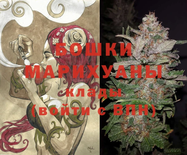 гашик Новокубанск
